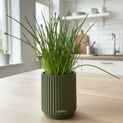 Krydderurte beholder (lille)