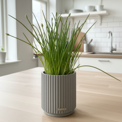 Nodeco - Krydderurte beholder (lille)