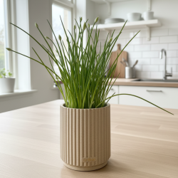 Nodeco - Krydderurte beholder (lille)