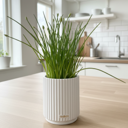 Krydderurte beholder (lille)